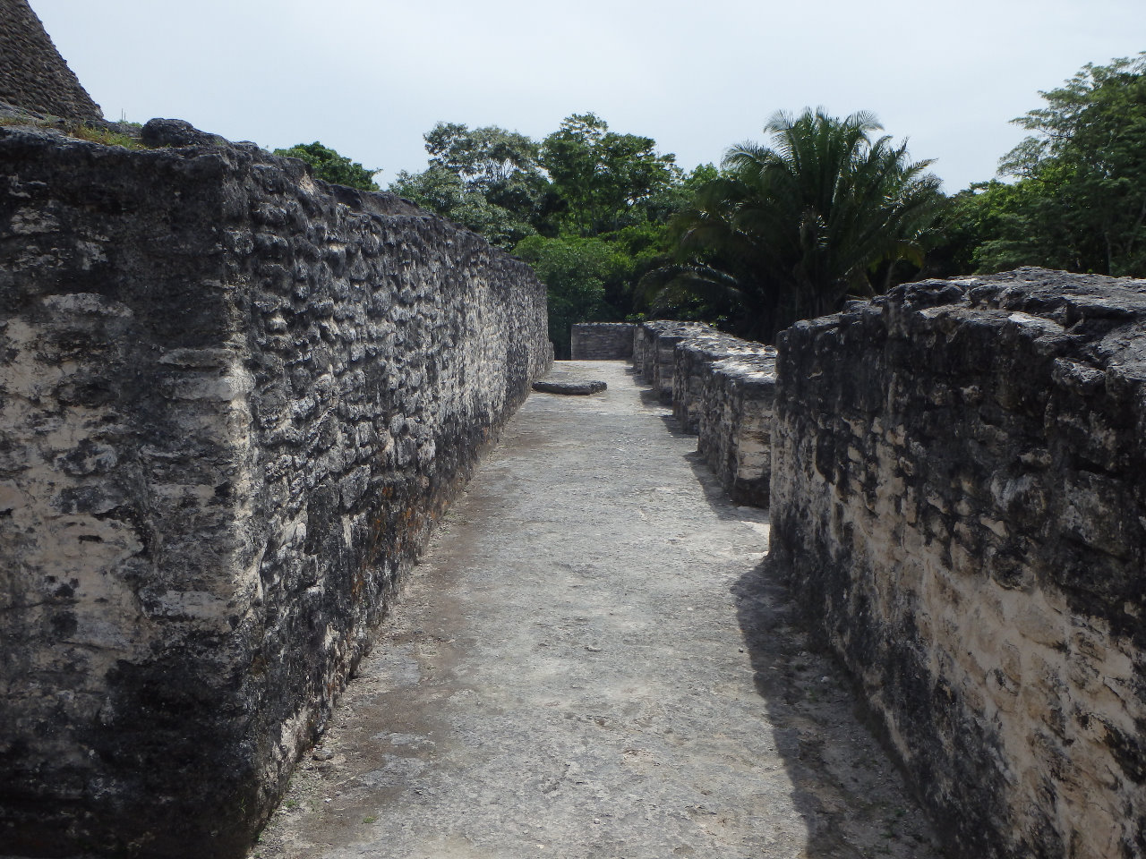 Belize391.jpg.tmp.jpg