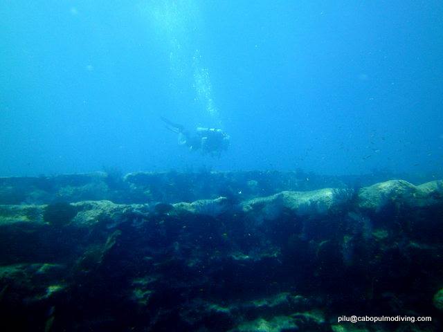 diving011.jpg