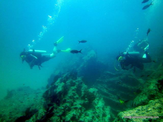 diving022.jpg