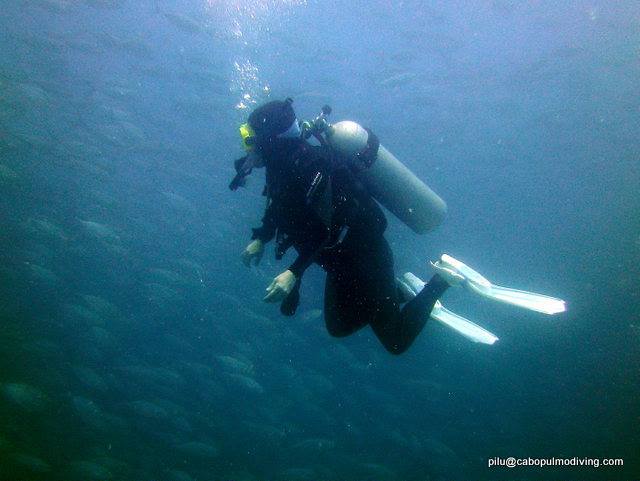 diving027.jpg