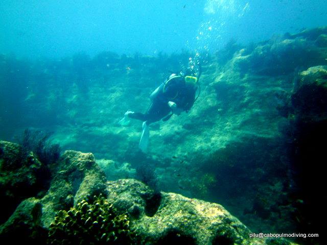 diving030.jpg