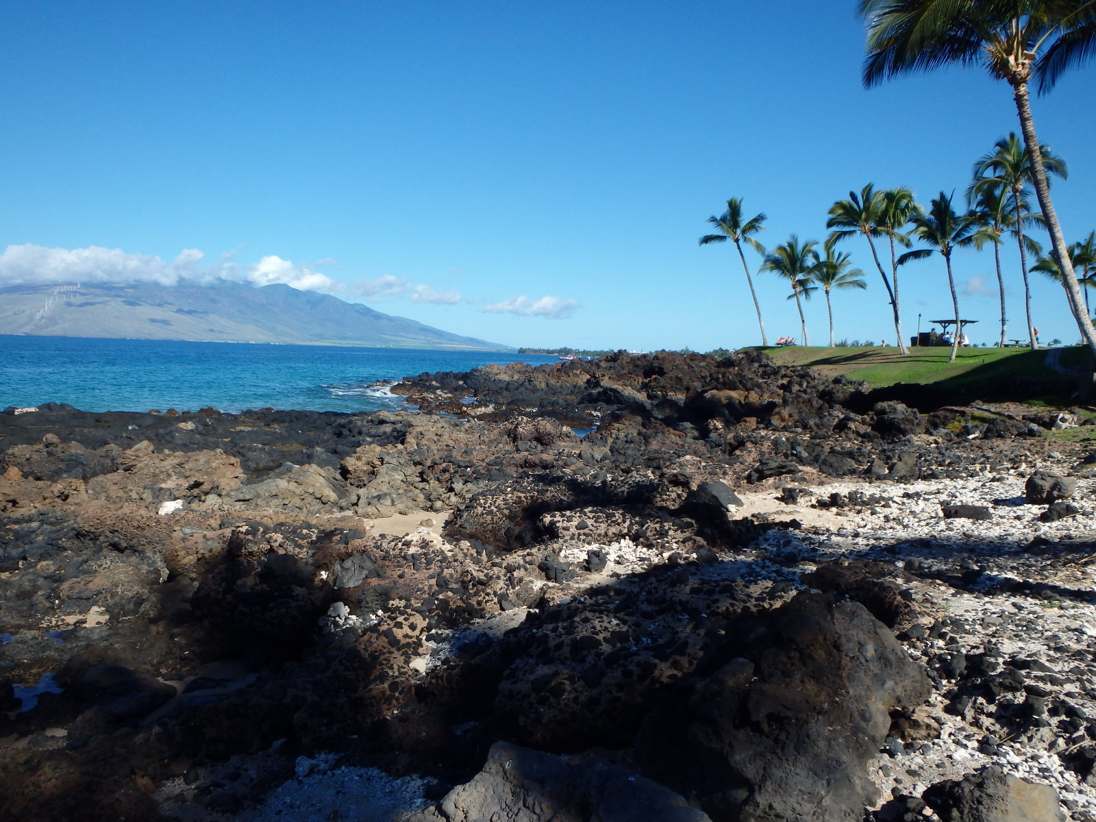 Maui020.jpg