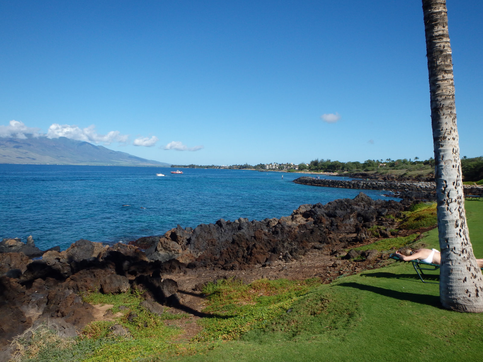 Maui024.jpg