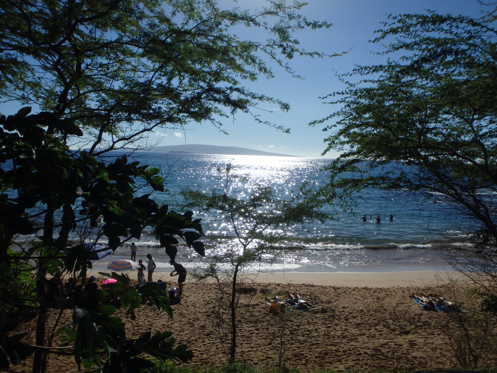 Maui058.jpg