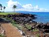 Maui027.jpg