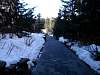 Whistler021.JPG